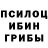 Галлюциногенные грибы мицелий Alex Zagaruno
