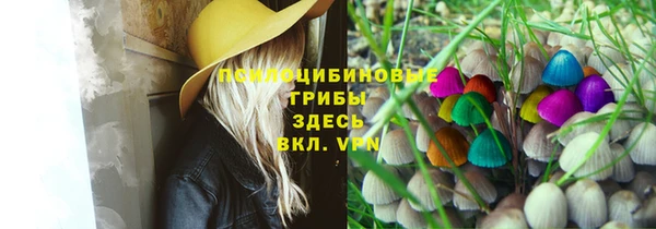 ешки Абинск