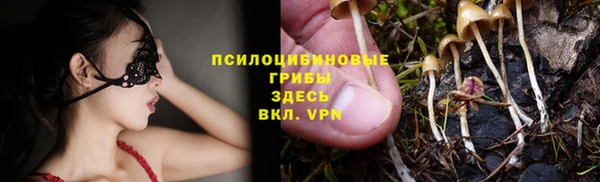 амф Абдулино