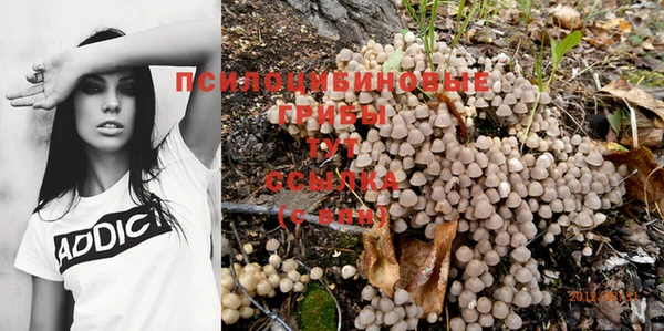амф Абдулино