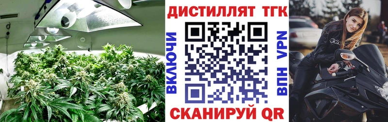 Дистиллят ТГК гашишное масло  Владикавказ 