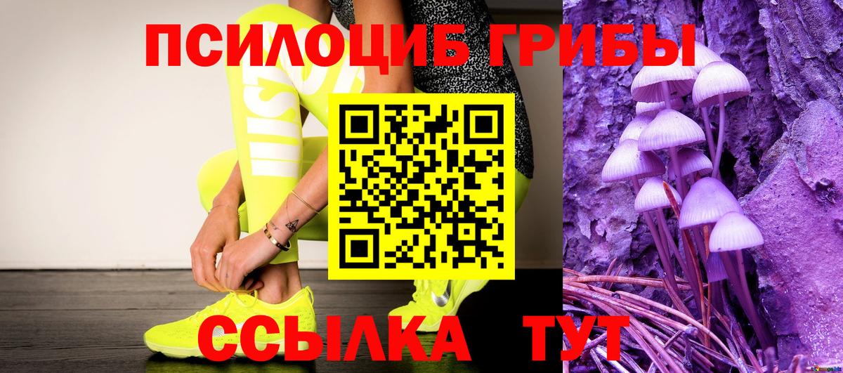 магазин продажи   Псилоцибиновые грибы Cubensis  Вход с VPN  Псилоцибиновые грибы прущие грибы  Владикавказ 